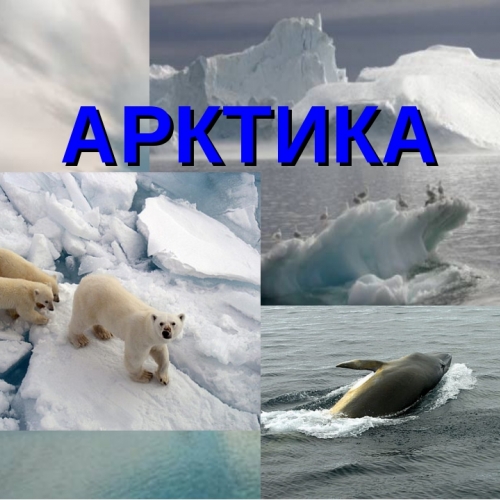Всероссийский урок Арктики 